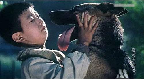 4部汪星人"主演"的催泪电影,"狼牙,公主"满满都是回忆