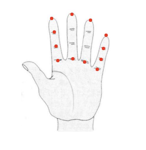 下面大家来看一下左手的手掌图:所以1962天干为壬,1963天干为癸,1964