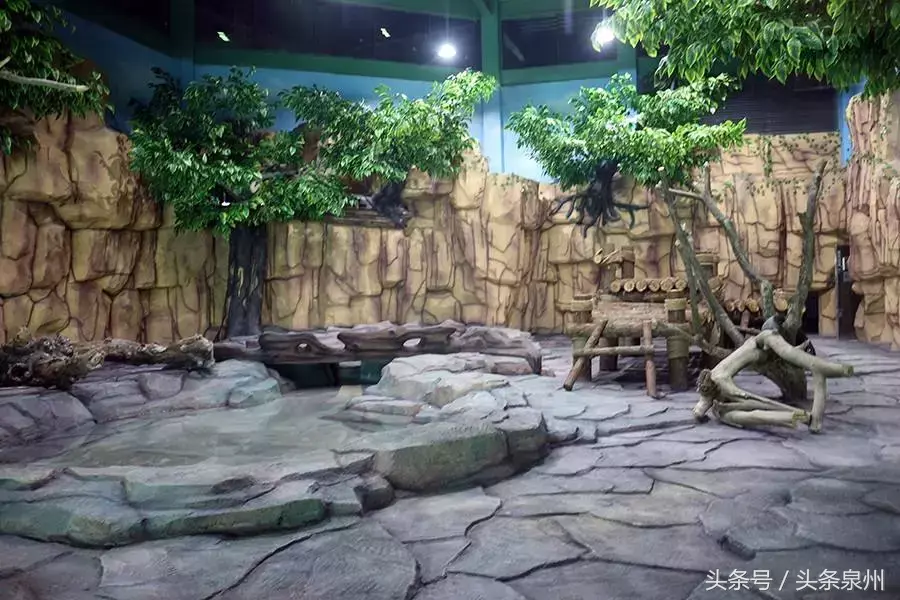 泉州动物园在哪里(泉州动物园)