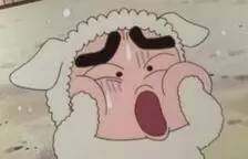 5月4日青年节，5月4日是什么节（这些年龄段的人可以放假...啥）