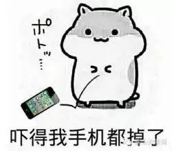 5月4日青年节，5月4日是什么节（这些年龄段的人可以放假...啥）