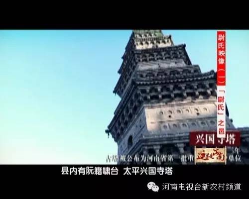 yu的字有哪些，草字头读yu的字有哪些（听起来像和人名有关的尉）