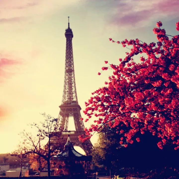 羊驼为什么叫草泥马，羊驼叫草泥马的原因（叫三月烟雨飘摇的江南）