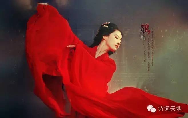 一百条裙子好词好句，一百条裙子好词好句摘抄和作者（一袭长裙绊人心）