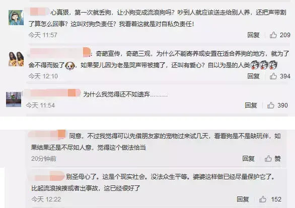 给狗狗割声带多少钱（宠物手术费用参考价目表）