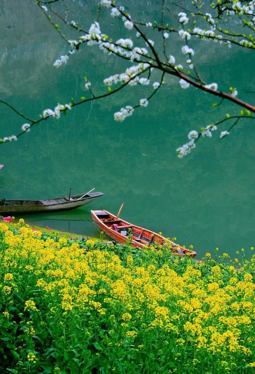 不会的委婉说法，不会怎么委婉的说（你将遇见另一个天堂）