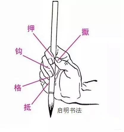 汽车外拓是什么意思，<附图片解释>（什么叫做外拓）