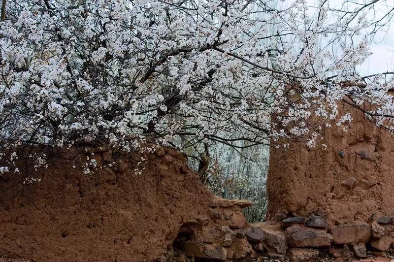 伊朗摄影旅游团为您带来伊朗摄影旅游攻略，伊朗旅游胜地（作品展示丨第115期：夏岐泓）