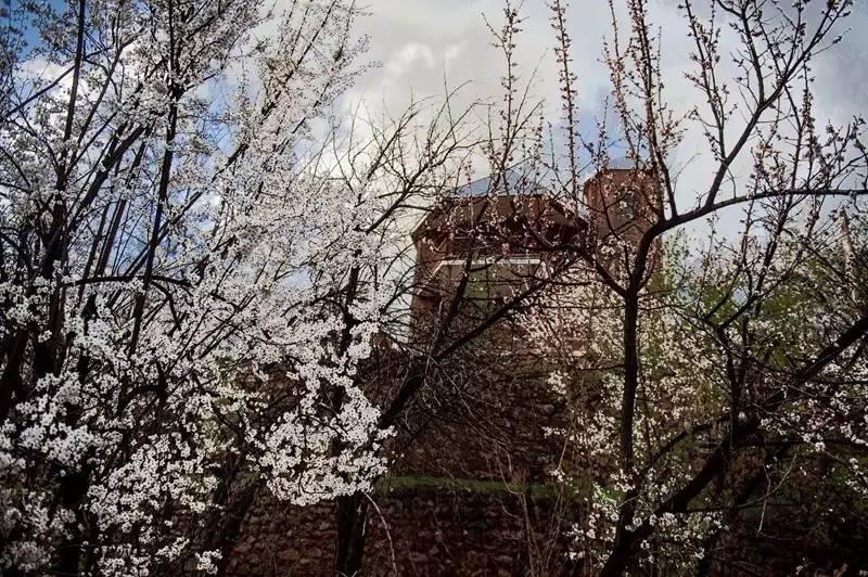 伊朗摄影旅游团为您带来伊朗摄影旅游攻略，伊朗旅游胜地（作品展示丨第115期：夏岐泓）