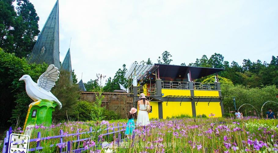 清境农场攻略，清境农场一日游攻略（从青青草原到小瑞士花园）