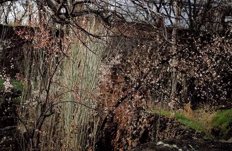 伊朗摄影旅游团为您带来伊朗摄影旅游攻略，伊朗旅游胜地（作品展示丨第115期：夏岐泓）