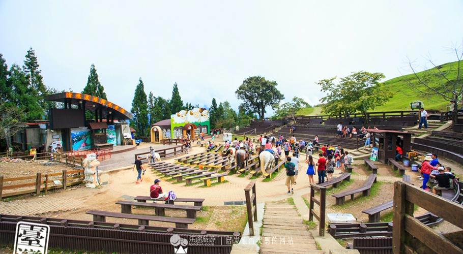 清境农场攻略，清境农场一日游攻略（从青青草原到小瑞士花园）