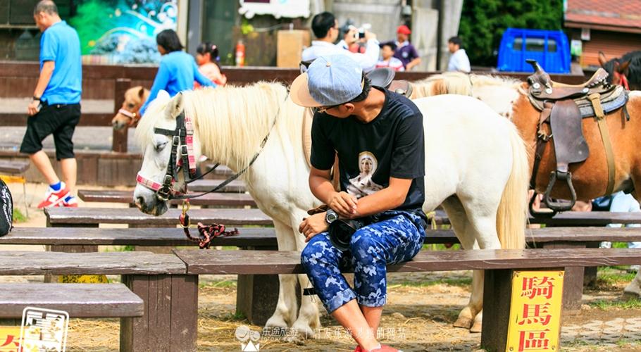 清境农场攻略，清境农场一日游攻略（从青青草原到小瑞士花园）