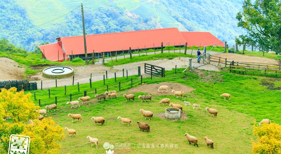 清境农场攻略，清境农场一日游攻略（从青青草原到小瑞士花园）