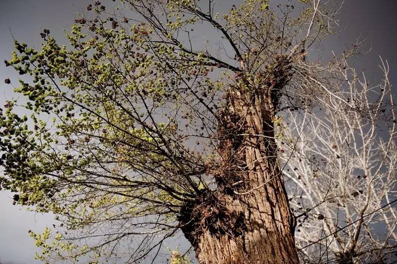 伊朗摄影旅游团为您带来伊朗摄影旅游攻略，伊朗旅游胜地（作品展示丨第115期：夏岐泓）