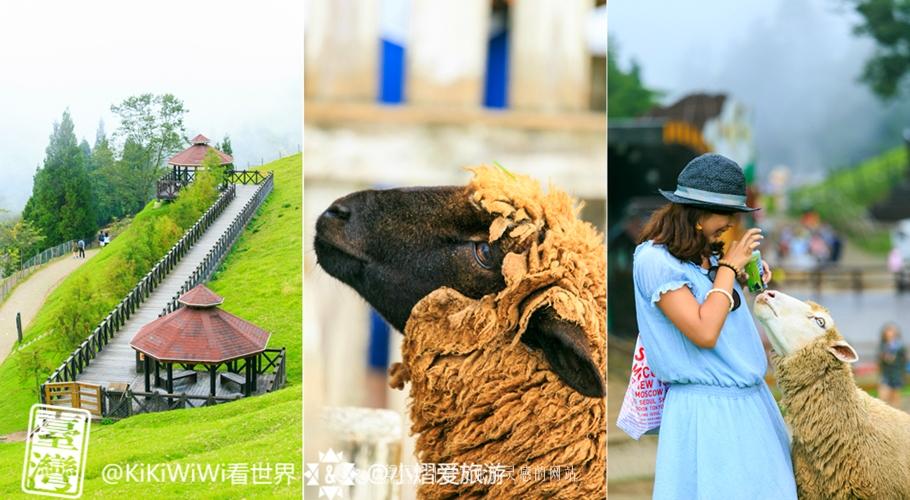 清境农场攻略，清境农场一日游攻略（从青青草原到小瑞士花园）