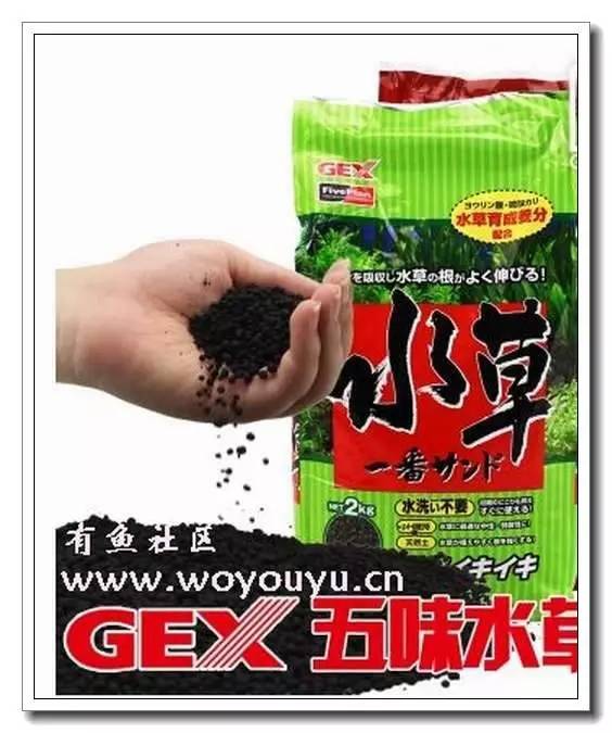 60的缸用多少底砂（如何选择合适的鱼缸底砂材料）