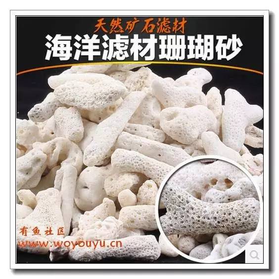 60的缸用多少底砂（如何选择合适的鱼缸底砂材料）