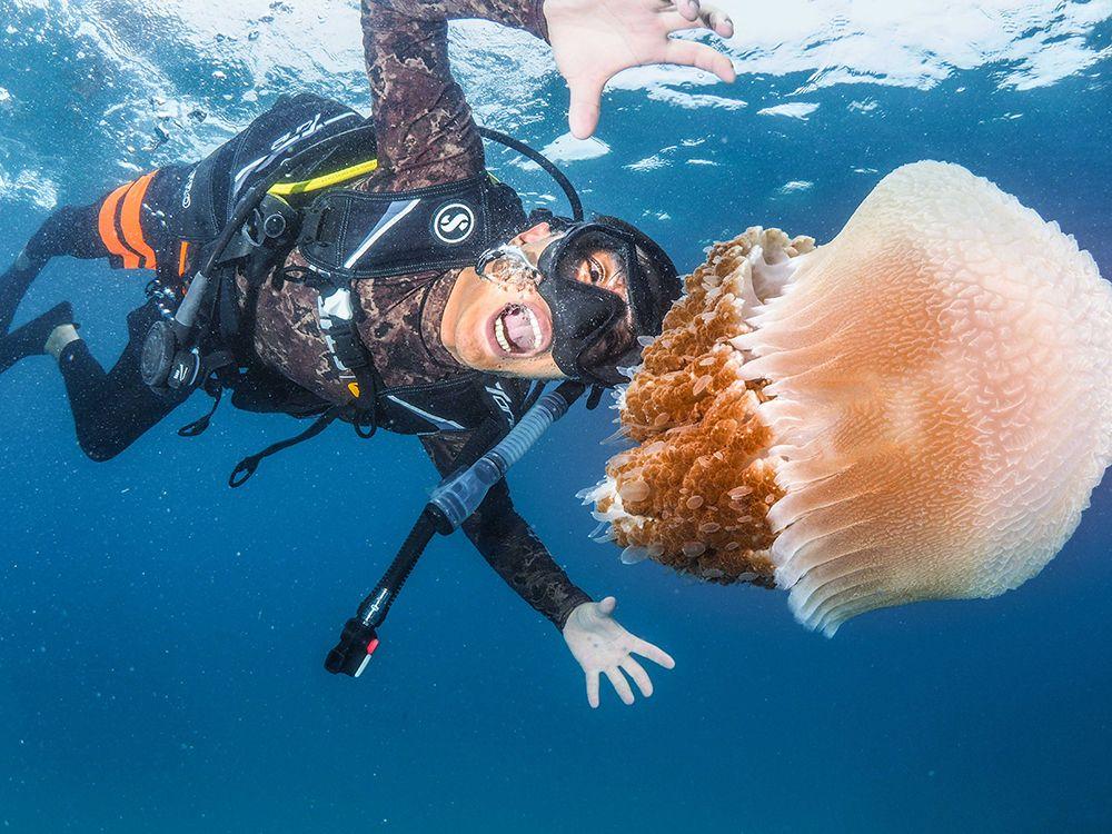 涛岛潜水学校哪家好（考个潜水证有什么了不起）