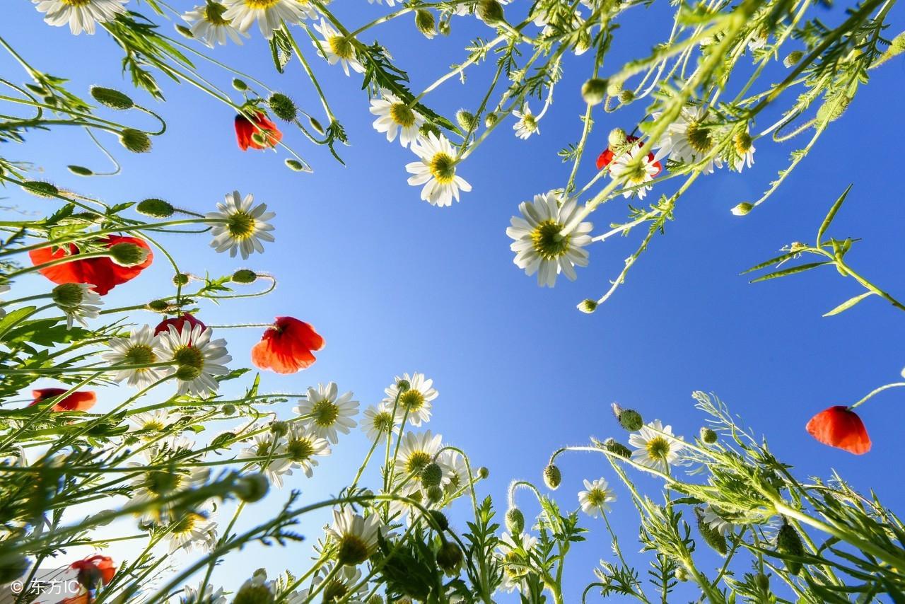 wtkjdtxj感染案例（早春季节乍暖还寒）