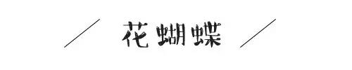 花蝴蝶歌词，经典老歌30首（你还不知道什么是淋语）