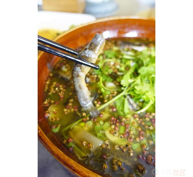 丁桂鱼刺多吗，丁桂鱼刺多还是鲈鱼刺多（来自狂野野钓爱好者的诚意）