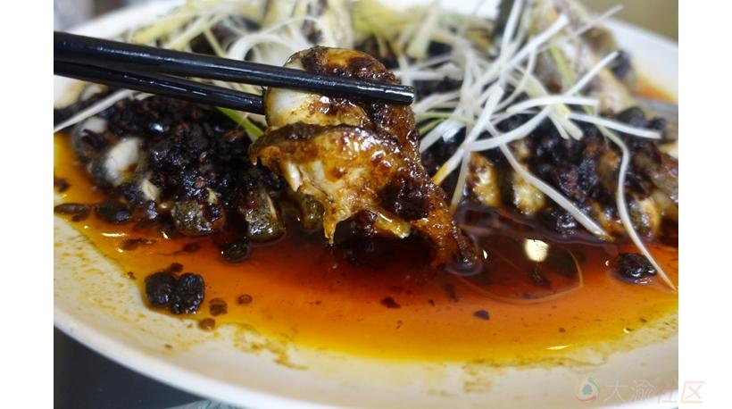 丁桂鱼刺多吗，丁桂鱼刺多还是鲈鱼刺多（来自狂野野钓爱好者的诚意）