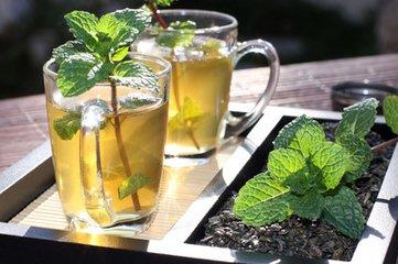 驱蚊薄荷可以食用吗，薄荷可以用来驱蚊吗（做菜、泡水、驱蚊还“治病”）