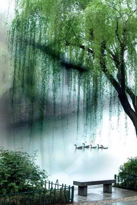 羊驼为什么叫草泥马,羊驼叫草泥马的原因(叫三月烟雨飘摇的江南) 羊驼为什么叫草泥马,羊驼叫草泥马的原因(叫三月烟雨飘摇的江南)