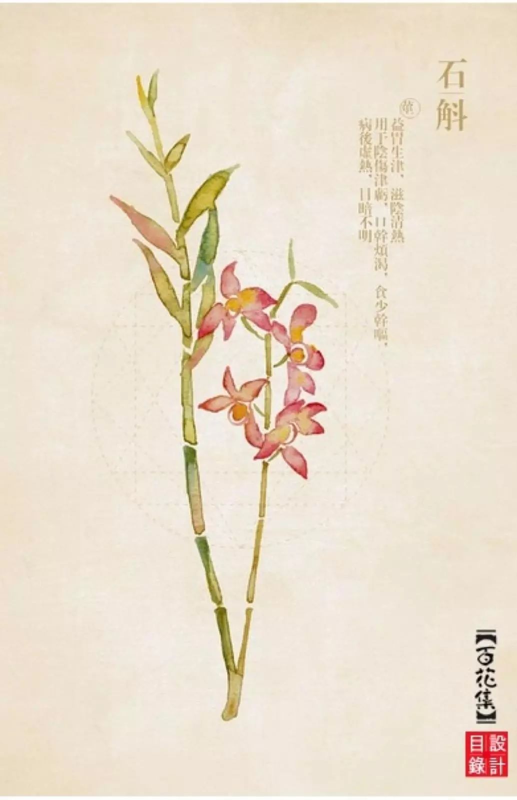 如果蕲春就是一本《本草纲目》,你又会是哪一种药草?