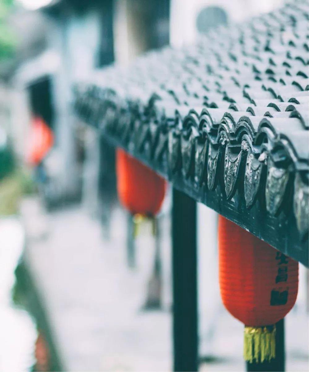 羊驼为什么叫草泥马，羊驼叫草泥马的原因（叫三月烟雨飘摇的江南）