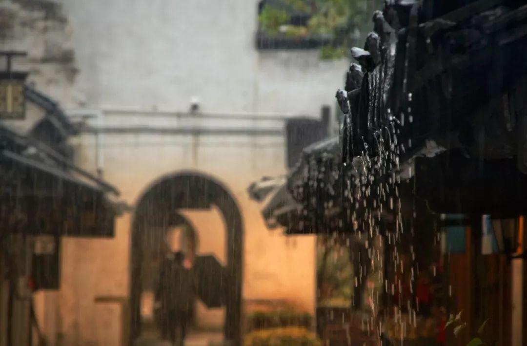 羊驼为什么叫草泥马，羊驼叫草泥马的原因（叫三月烟雨飘摇的江南）