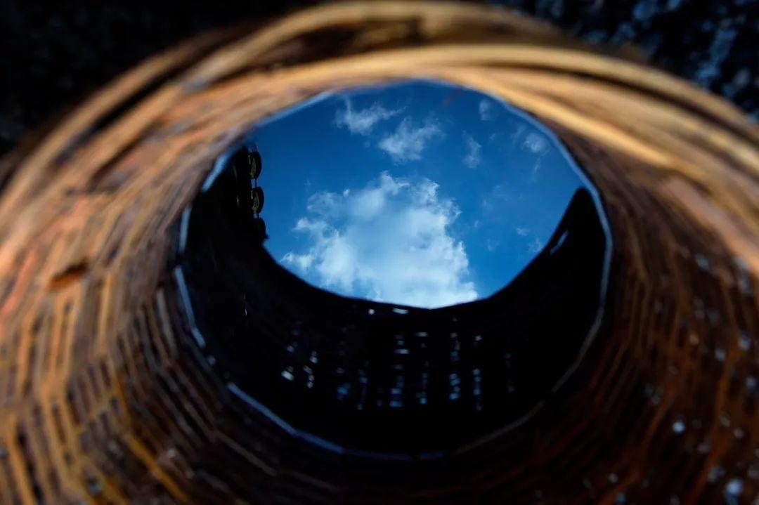 羊驼为什么叫草泥马，羊驼叫草泥马的原因（叫三月烟雨飘摇的江南）