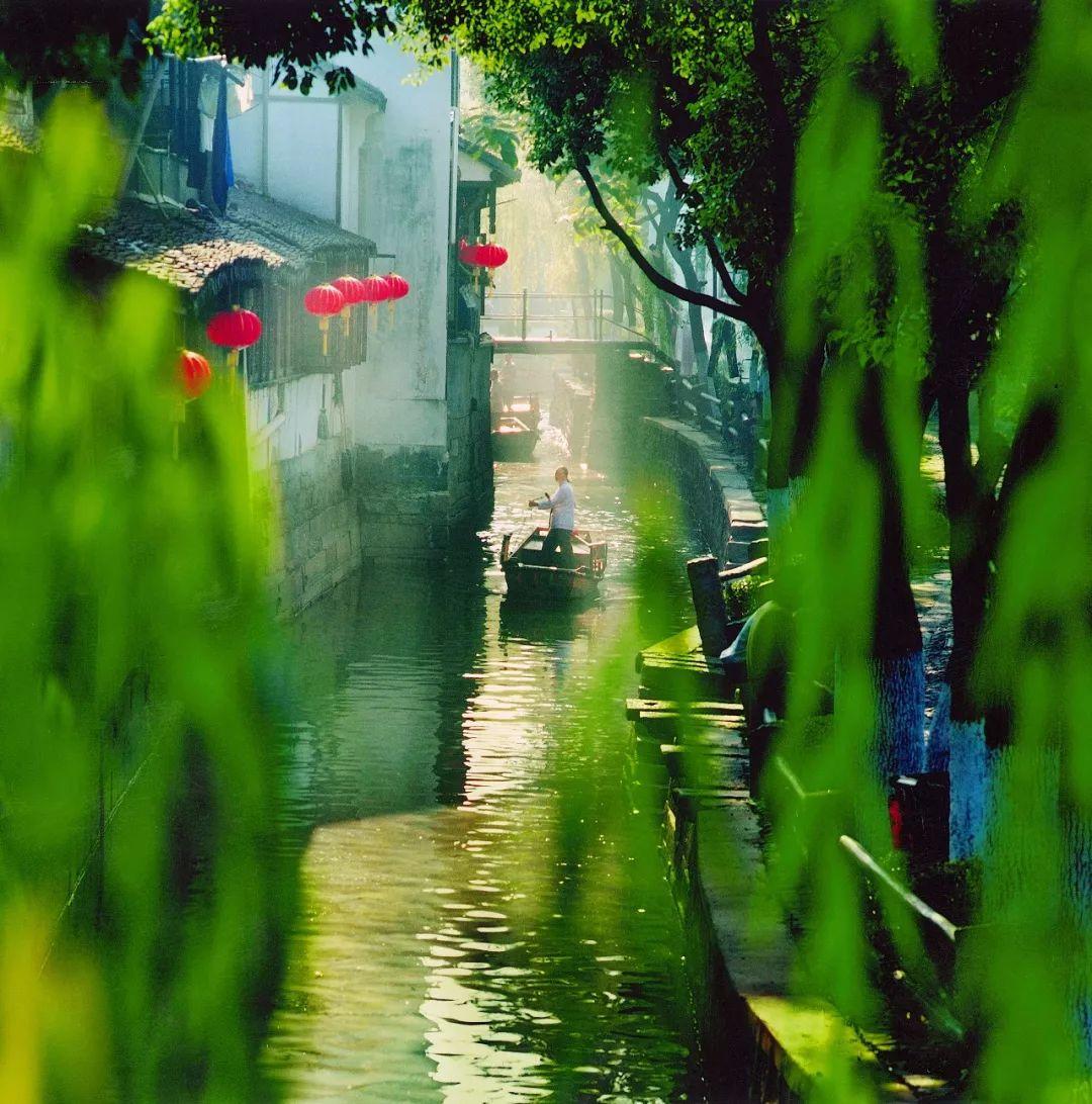 羊驼为什么叫草泥马，羊驼叫草泥马的原因（叫三月烟雨飘摇的江南）