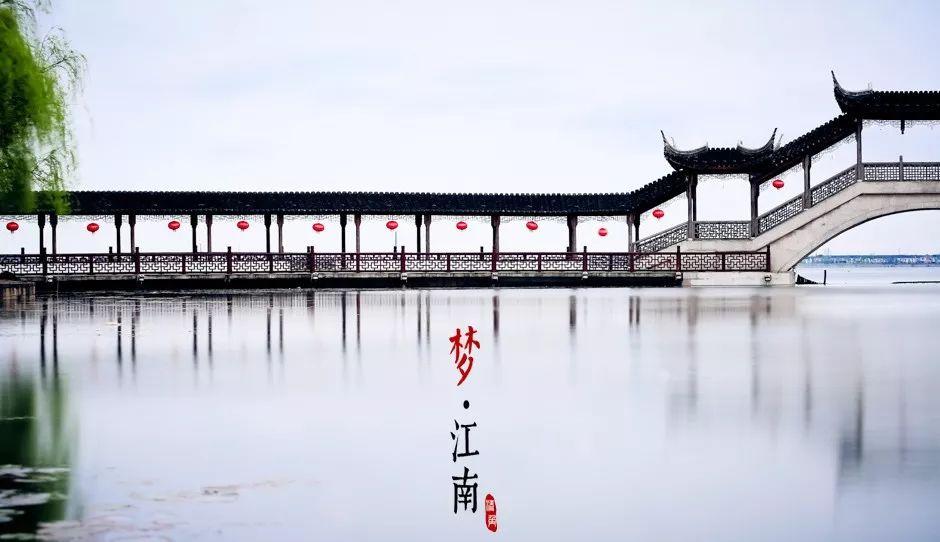 羊驼为什么叫草泥马,羊驼叫草泥马的原因(叫三月烟雨飘摇的江南) 羊驼为什么叫草泥马,羊驼叫草泥马的原因(叫三月烟雨飘摇的江南)