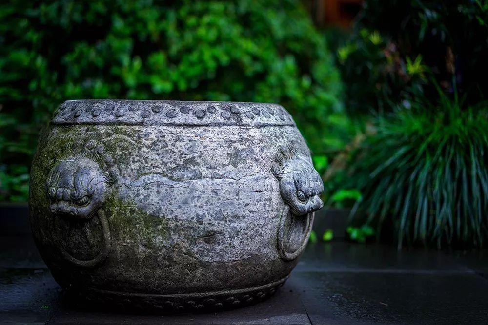 羊驼为什么叫草泥马，羊驼叫草泥马的原因（叫三月烟雨飘摇的江南）