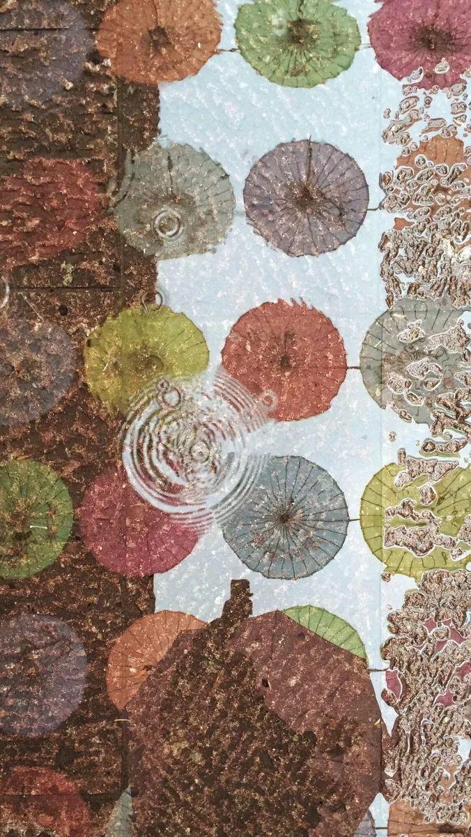 羊驼为什么叫草泥马，羊驼叫草泥马的原因（叫三月烟雨飘摇的江南）