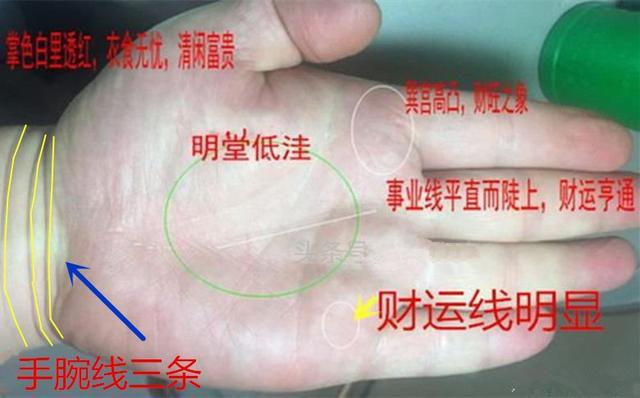 非常难得的金房子手相,此手相者一生五路招财 - 玉三网