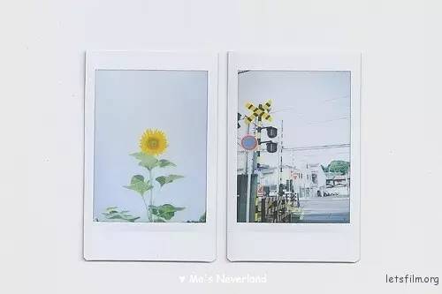 拍立得使用方法，拍立得相机使用方法（怎么用拍立得拍出高质量的照片）