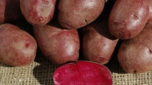 紫色土豆的营养价值、功效及食用方法，吃紫色土豆对身体有什么好处（紫色马铃薯含高抗氧化剂）