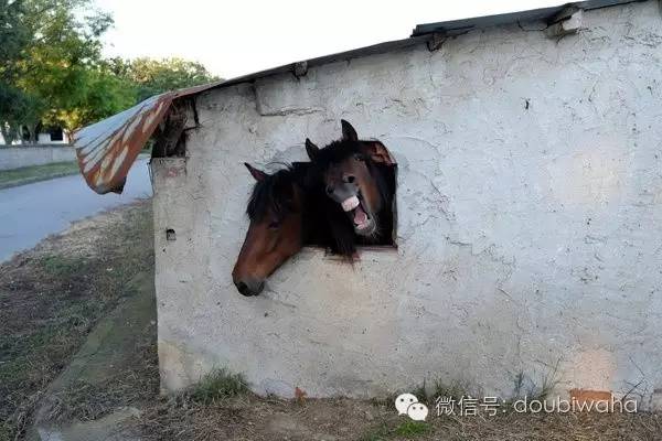 给人备注Aaaaa是什么意思，备注aaaaaaaa是啥意思（有人给他们起外号叫AAAAA风景区）