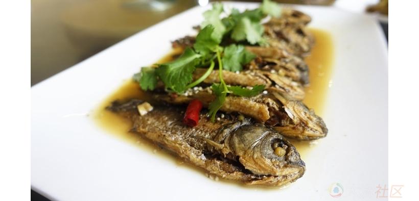 丁桂鱼刺多吗，丁桂鱼刺多还是鲈鱼刺多（来自狂野野钓爱好者的诚意）