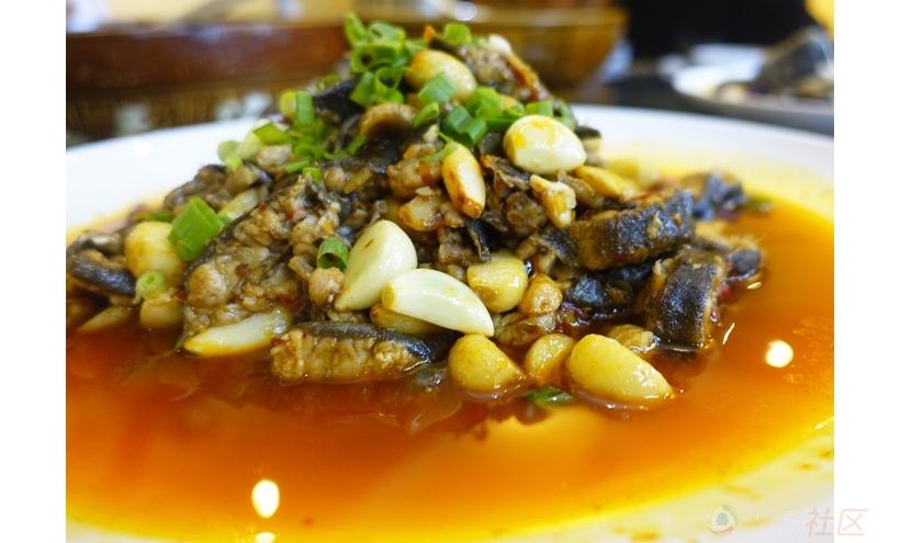 丁桂鱼刺多吗，丁桂鱼刺多还是鲈鱼刺多（来自狂野野钓爱好者的诚意）