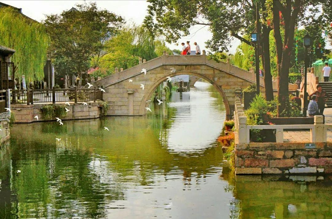 羊驼为什么叫草泥马，羊驼叫草泥马的原因（叫三月烟雨飘摇的江南）