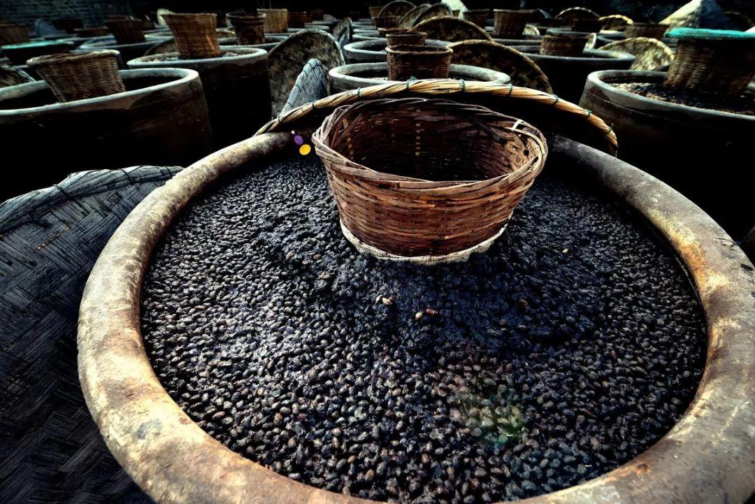 羊驼为什么叫草泥马，羊驼叫草泥马的原因（叫三月烟雨飘摇的江南）