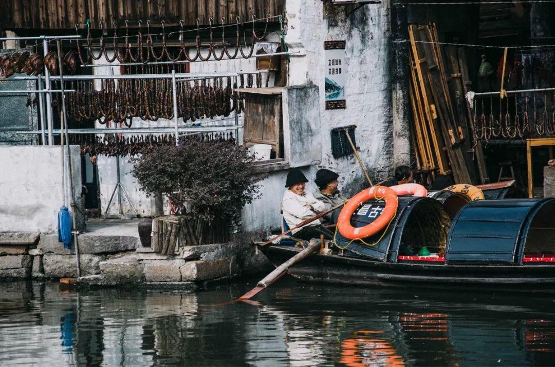 羊驼为什么叫草泥马，羊驼叫草泥马的原因（叫三月烟雨飘摇的江南）