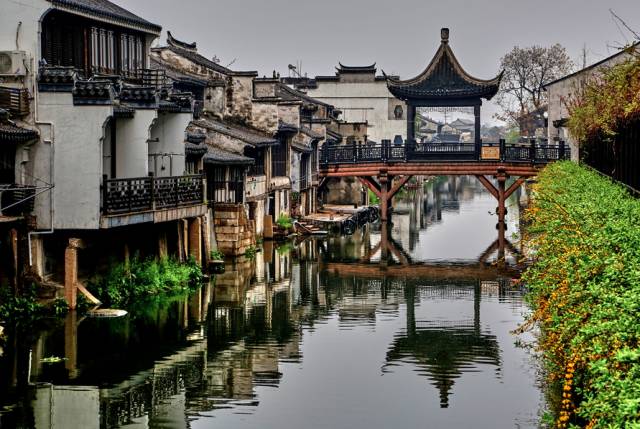 羊驼为什么叫草泥马，羊驼叫草泥马的原因（叫三月烟雨飘摇的江南）