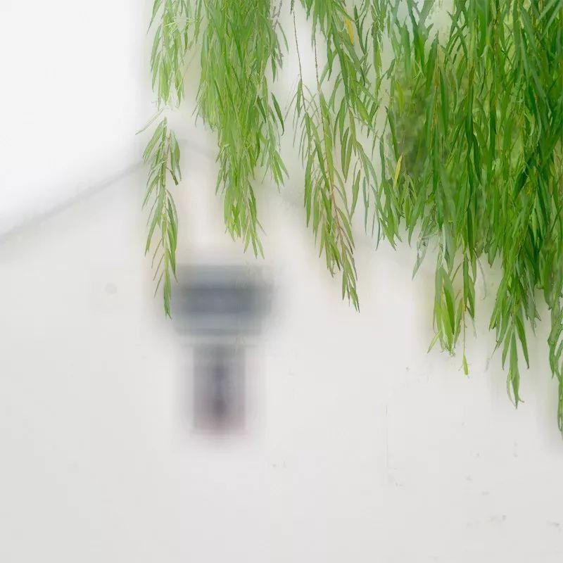 羊驼为什么叫草泥马，羊驼叫草泥马的原因（叫三月烟雨飘摇的江南）