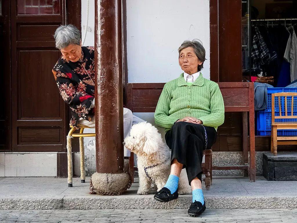 羊驼为什么叫草泥马,羊驼叫草泥马的原因(叫三月烟雨飘摇的江南) 羊驼为什么叫草泥马,羊驼叫草泥马的原因(叫三月烟雨飘摇的江南)