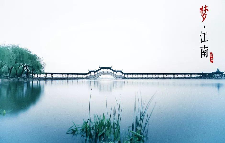 羊驼为什么叫草泥马，羊驼叫草泥马的原因（叫三月烟雨飘摇的江南）